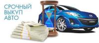 Статья «Срочный выкуп авто»: все подвохи и риски Автопродажа
